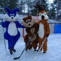 Ice Rink